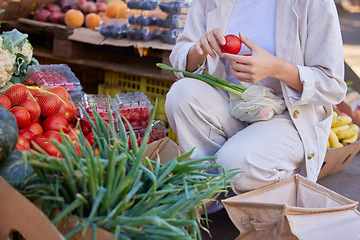 Image showing Woman, shopping and healthy food, fruit and vegetables at vegan farmers market, eco friendly grocery store or lifestyle of sustainability. Closeup customer hands with choice of organic retail produce