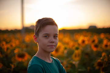 Image showing Portrait of beautiful blond kid boy on summer sunflower field