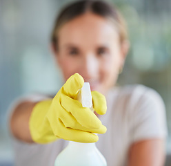 Image showing Hand, spray bottle and cleaning with a woman in gloves for housework or sanitization for hygiene. Hands, latex and disinfectant with a female cleaner spraying product to clean for a fresh wash