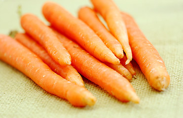 Image showing fresh carrots