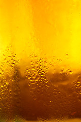 Image showing Glass of beer close-up
