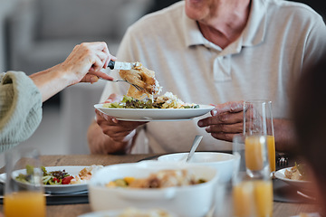 Image showing Plate, food and thanksgiving with a meal in the hands of a senior man during a family lunch for celebration. Party, health and social with a group of people eating together in the holiday season