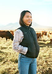 Image showing Cow, farmer and asian woman on grass field in nature for meat, beef or cattle food industry. Happy, smile and farming success for cows, livestock and agriculture animals, milk production and growth