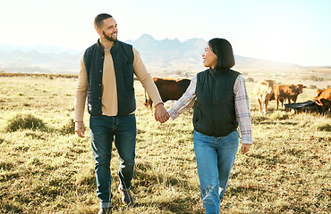 Image showing Farmer couple, cattle farming and happy while holding hands and walking together on grass field of a sustainable farm with cow animals. Woman and man with support for rural countryside lifestyle