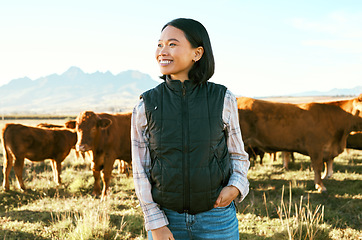 Image showing Countryside, cow cattle and Asian woman happy about nature, mountains and agriculture farm. Smile, grass field and animals with a person from Japan on travel, holiday and vacation in Texas