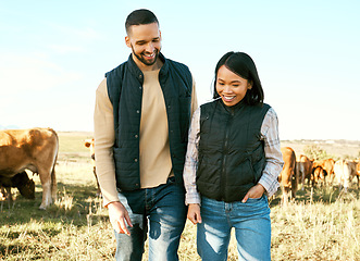 Image showing Love, cow and agriculture with couple on farm for bonding, partnership and quality time. Sustainability, production and cattle farmer with man and woman in countryside for dairy, livestock or relax