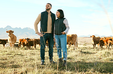 Image showing Cow field, farm and couple in agriculture for small business, eco friendly and sustainability food, supply chain and management. Idea, success and farmer woman, partner and cattle for beef production