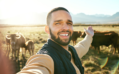 Image showing Agriculture, farming animal and man video call with cattle for social media, eco friendly blog or agro small business advertising. Influencer farmer in portrait selfie for sustainability of cows