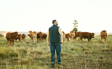 Image showing Man, planning or thinking on cow farm field of herd management, dairy export industry or beef sales ideas. Farmer, cattle or bovine group in countryside agriculture or sustainability cows environment