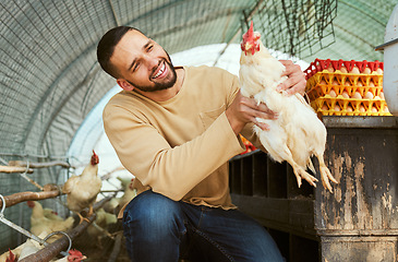 Image showing Chicken farmer, animals and farming with a man holding rooster for care, health and wellness of poultry supply in rural countryside. Happy male in bird coop for sustainability of protein or eggs