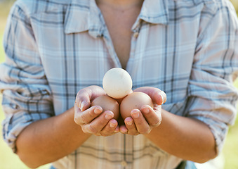 Image showing Farmer hands, chicken eggs and natural organic farm for sustainability, eco friendly agriculture and food protein. Nature, animal egg farming and worker hands for carbon capture outdoor lifestyle