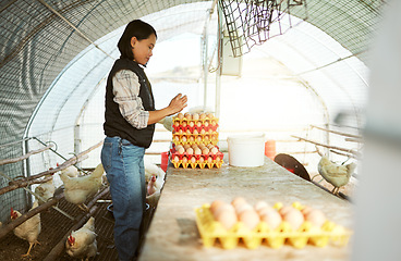 Image showing Asian, woman and farm with chicken eggs tray organisation, collection and check for quality assessment. Agriculture, small business and focus of girl poultry farmer working in chicken coop.