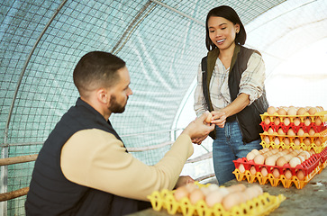 Image showing Egg farmer, food and couple at chicken farm checking health, production or growth of eggs. Poultry agriculture, sustainability or inspection of protein products with happy man and Asian woman in barn