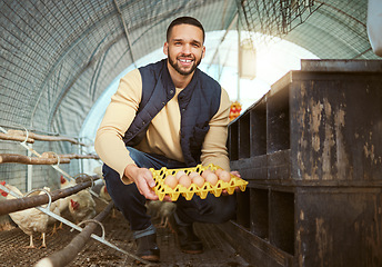 Image showing Farmer, chicken and poultry with man and eggs, farming with livestock and protein, nutrition and organic in chicken coop. Smile, portrait and agriculture, farm food and sustainability with nature.