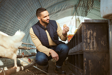 Image showing Chicken egg, farm or man check farming product for quality control, bird produce inspection or harvest production. Countryside poultry barn, sustainability or farmer working in animal livestock ranch