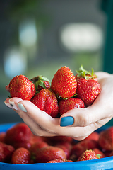 Image showing Ripe delicious strawberries