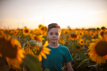 Image showing Portrait of beautiful blond kid boy on summer sunflower field