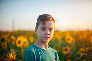 Image showing Portrait of beautiful blond kid boy on summer sunflower field