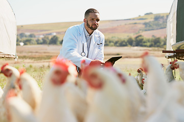 Image showing Healthcare, chicken and farm with a vet man using a tablet for research, free range poultry or sustainability farming. Medical, agriculture and technology with a male veterinarian working in medicine