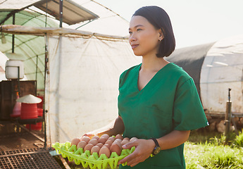 Image showing Vet healthcare, farm and woman with egg for quality control, health inspection and check organic chicken product. Sustainability farming, greenhouse farmer and Asian veterinarian for animal care