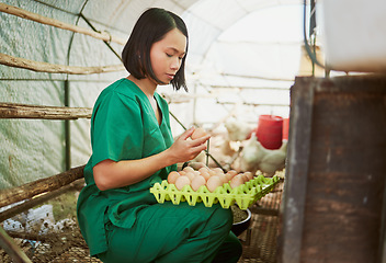 Image showing Farming, agriculture and vet with chicken eggs for inspection, quality control and health on poultry farm. Ecology, nature and Asian woman do protein check, food safety and compliance in countryside