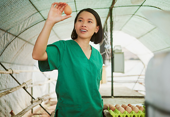 Image showing Woman, egg quality and check on farm, chicken and poultry with agriculture and natural, organic and free range eggs. Japanese farmer in greenhouse, farming and sustainable business in rural Japan.