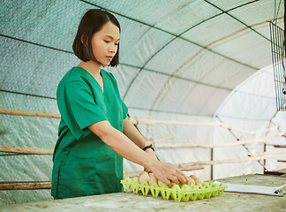 Image showing Farm, eggs and agriculture with a farmer asian woman working in a greenhouse for sustainability. Food, produce and free range with a female farming employee at work in the agricultural industry