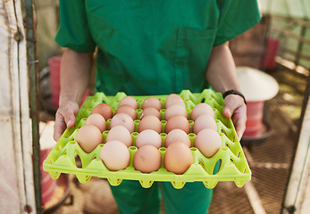 Image showing Farm, healthcare and vet woman with egg for health inspection of animal farming product, chicken eggs or farmer produce. Sustainability, quality control and medical veterinary hands for animal care