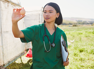 Image showing Asian woman, chicken egg and vet at farm checking health of eggs, quality control or inspection. Agro, poultry farmer and veterinarian nurse in countryside holding food for farming safety compliance.
