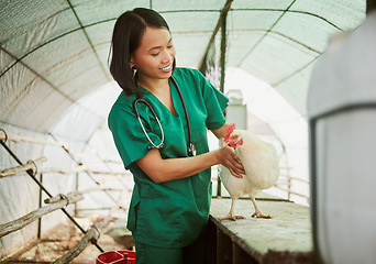 Image showing Veterinary, chicken and medical with woman on farm for agriculture, healthcare and illness. Help, poultry and sick with animal nurse in hangar barn for examination, ecological and eco farming