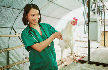 Image showing Animal veterinary, chicken farming and woman do medical assessment, inspection or health exam in hen house. Happy asian doctor, poultry and wellness test for bird flu, growth research or care in barn