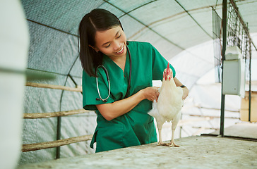 Image showing Veterinary, woman and chicken healthcare on farm for medical assessment, industry growth and analysis in hen house. Happy asian animal doctor, poultry worker and wellness check for bird flu in barn