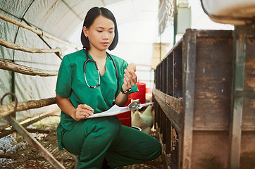 Image showing Egg inspection, care and farm vet doing an animal consultation, sustainable healthcare and agriculture notes. Chicken support, medical and Asian worker doing check on poultry and writing results
