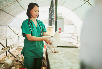 Image showing Woman, veterinary or chicken farm check in bird flu vaccine, growth hormone medicine or pet wellness insurance. Happy, healthcare worker or animal doctor and poultry patient on Indonesian countryside