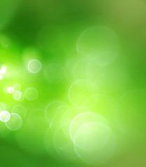 Image showing Abstract green background