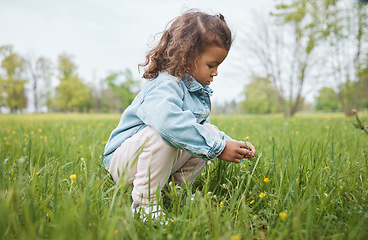 Image showing Grass, flowers and children with a girl in the park alone during summer or spring in nature with mockup. Field, green and kids with a female child picking a dandelion flower in a garden outdoor