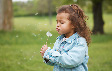 Image showing Playing, blowing plant and child in nature, environment exploration and wish on ecology in Australia. Carefree, sustainability and girl kid with a dandelion in a park, garden or backyard for fun