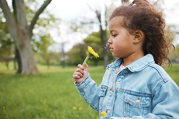 Image showing Park, adventure and carefree child with a flower for summer, holiday and learning about plants in Australia. Nature, spring and girl kid with a sunflower on a field or garden, playing and exploring