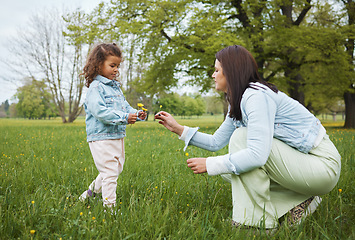 Image showing Family, park and flower with a mother and girl child bonding together on a grass field during summer or spring. Nature, love and children with a woman and female kid spending time outdoor on holiday