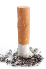 Image showing Cigarette butt