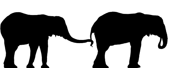 Image showing Elephant Silhouettes