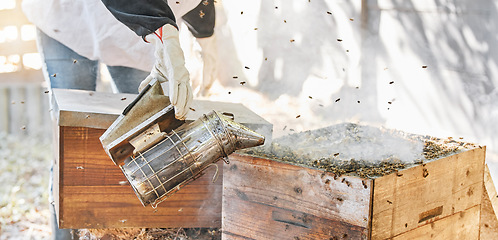 Image showing Farm, beekeeping and smoker for sustainable production of honey in an outdoor agriculture industry. Farming, bees and beekeeper or farmer manufacturing honeycomb in eco friendly environment or field.