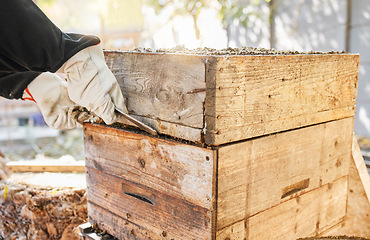 Image showing Beekeeping, start and hands of a person with box for sustainability, agriculture and production of honey on farm. Nature, ecology and beekeeper farming honeycomb for sustainable and natural food