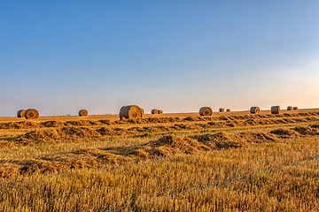 Image showing Straw bales stacked in a field at summer time in sunset