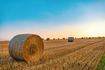 Image showing Straw bales stacked in a field at summer time in sunset