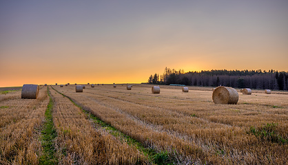 Image showing Straw bales stacked in a field at summer time in sunset