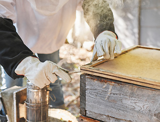 Image showing Woman, hands or beekeeper checking box on honey farm, healthy food manufacturing or sustainability environment. Worker, farmer or insect agriculture for sweet ingredient, natural syrup or wax harvest