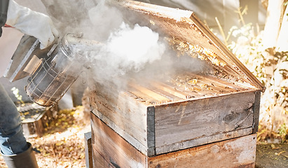 Image showing Bee farming, wood box and smoke with nature and beekeeping, honey extraction and natural product outdoor. Farmer, beekeeper and beehive, organic with manufacturing and production process with bees.