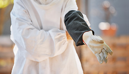 Image showing Beekeeper, hand and glove on bee farming worker ready for maintenance, harvest and manufacturing of honey in a factory, warehouse or workshop. Hands of worker with safety gear for working with bees