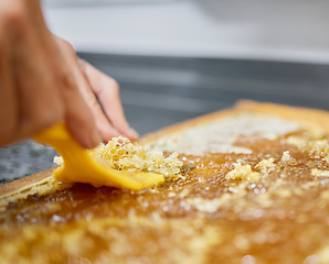 Image showing Extraction, beekeeping and hands of a worker with honeycomb, sustainability and natural food on a farm. Agriculture, process and beekeeper with production of eco friendly and organic honey farming